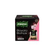 DOGADAN B.BOHCA YESIL CAY/SAKURA  Ünimar Süpermarket